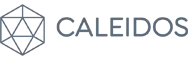 Caleidos logos DIW 2021 - VF
