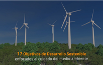 Conoce-aquí-el-aporte-de-la-industria-TI-al-cuidado-del-medio-ambientePEQ