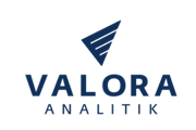 Valora Analitik