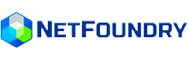 netfoundry logo diw