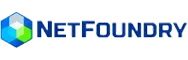 netfoundry logo diw